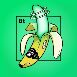 Experimental Banana 04949