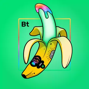 Experimental Banana 05342