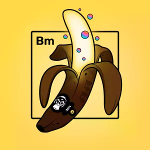 Experimental Banana 05388