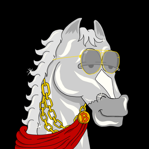 MR CHUMMY 🐴 078