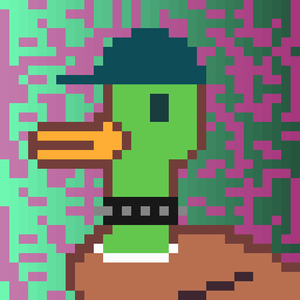 Duck-#152