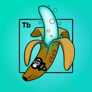 Experimental Banana 02882