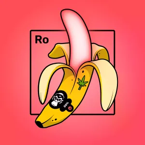 Experimental Banana 02269