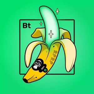 Experimental Banana 00808