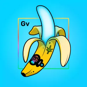 Experimental Banana 02883