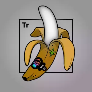 Experimental Banana 07800