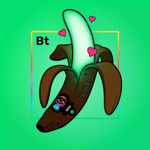 Experimental Banana 00547