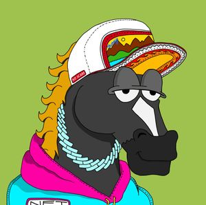 MR CHUMMY 🐴 021