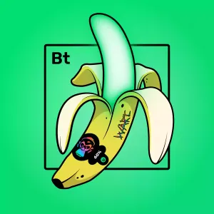 Experimental Banana 02053