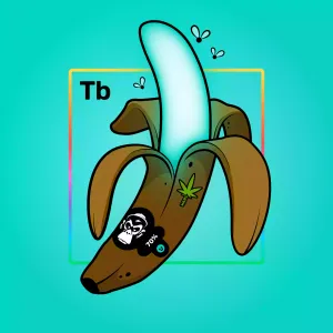 Experimental Banana 02765