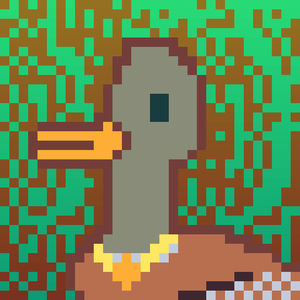 Duck-#340