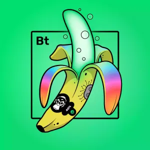 Experimental Banana 02015