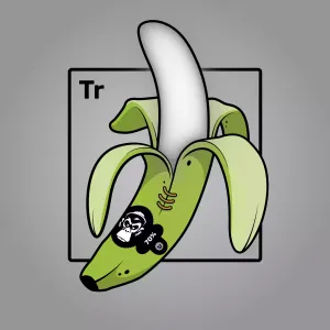 Experimental Banana 02885