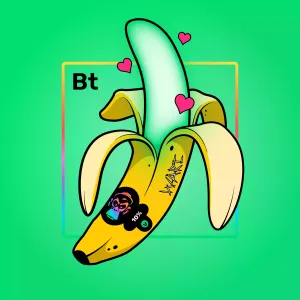 Experimental Banana 04279