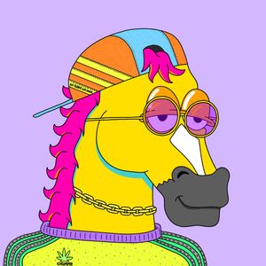 MR CHUMMY 🐴 249