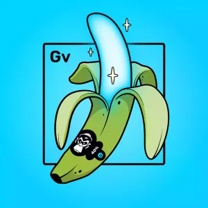 Experimental Banana 02919