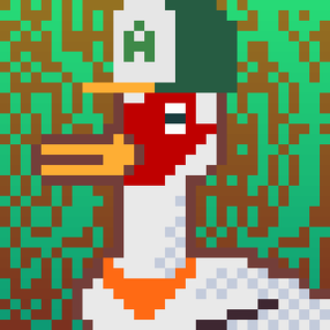 Duck-#257