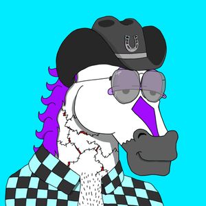 MR CHUMMY 🐴 088