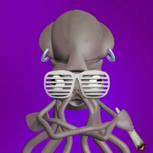 Mr. Squid 190