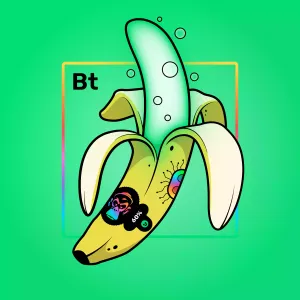 Experimental Banana 08677