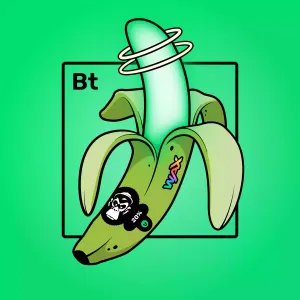 Experimental Banana 02011