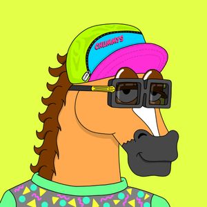 MR CHUMMY 🐴 247