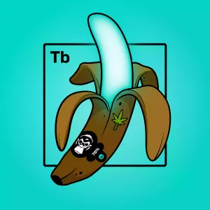 Experimental Banana 07790