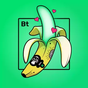 Experimental Banana 02876