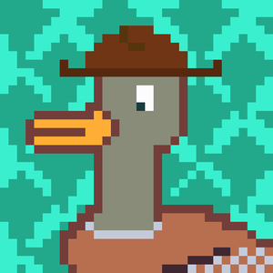 Duck-#105