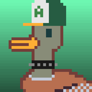 Duck-#347