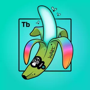 Experimental Banana 03841