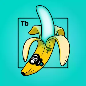 Experimental Banana 01254