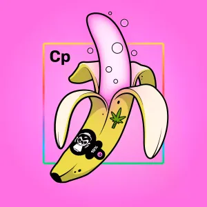 Experimental Banana 08091