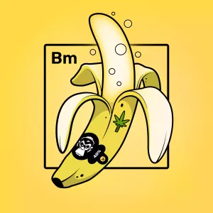 Experimental Banana 07830