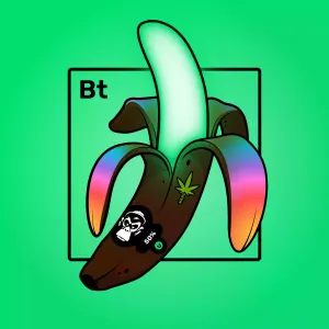 Experimental Banana 04987