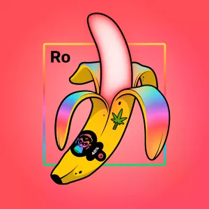 Experimental Banana 00532