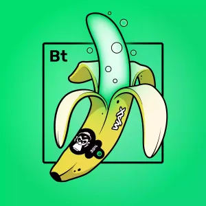 Experimental Banana 01000