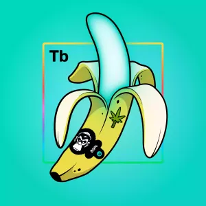 Experimental Banana 05212