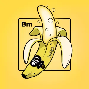 Experimental Banana 01781