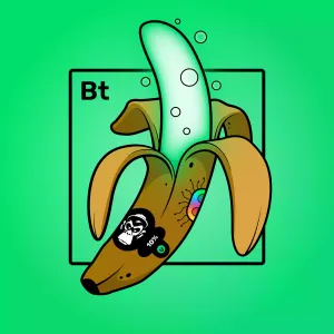 Experimental Banana 09670