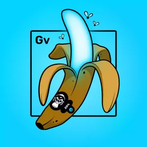 Experimental Banana 01195