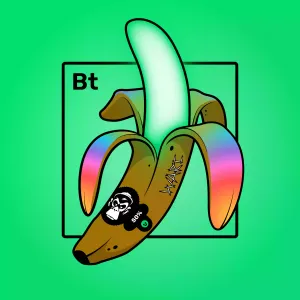 Experimental Banana 02362