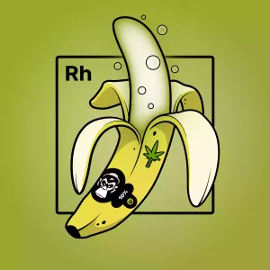 Experimental Banana 06496