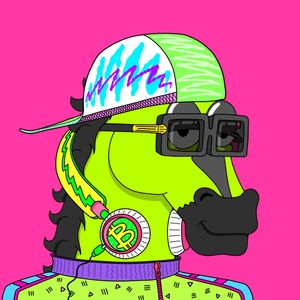 MR CHUMMY 🐴 225
