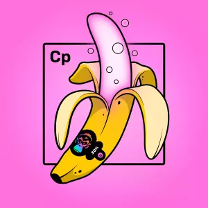 Experimental Banana 03018