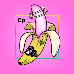 Experimental Banana 09004