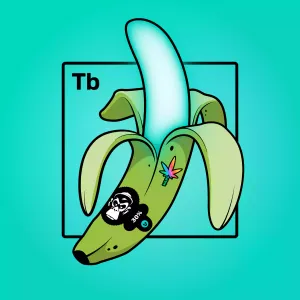 Experimental Banana 06868