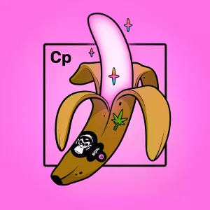 Experimental Banana 02004