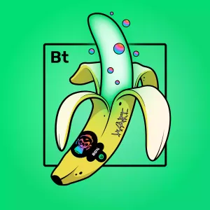 Experimental Banana 09330