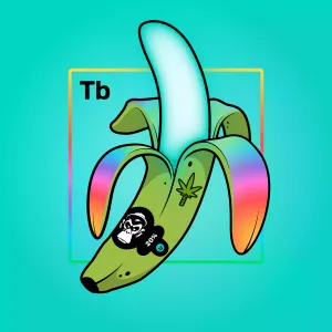 Experimental Banana 02970